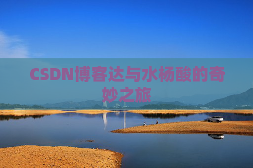 CSDN博客达与水杨酸的奇妙之旅