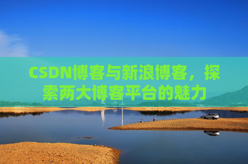 CSDN博客与新浪博客，探索两大博客平台的魅力